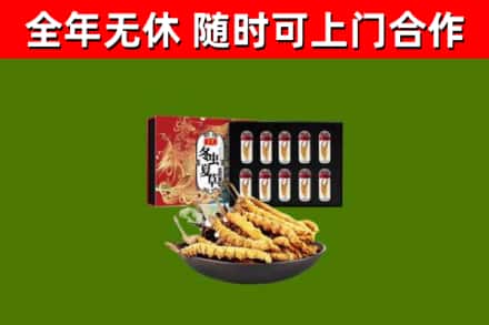 集安回收冬虫夏草价格